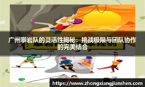 3377体育官网