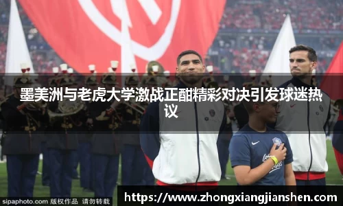 3377体育官网