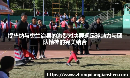3377体育官网
